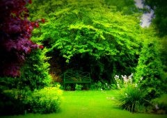 Lawn cu propriile sale mâini în țară - modul de a face (cu fotografii) (arme) Lawn cu propriile sale mâini în țară - modul de a face (cu fotografii)