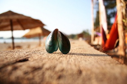 În cazul în care mai bine să se relaxeze în Goa 1 (indiu) În cazul în care mai bine să se relaxeze în Goa 1