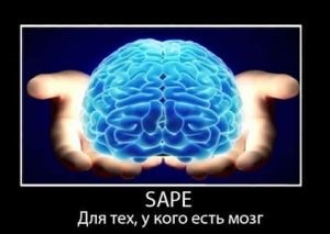 Instrucțiuni pentru bani rapid pe SAPE (instruire) Instrucțiuni pentru bani rapid pe SAPE