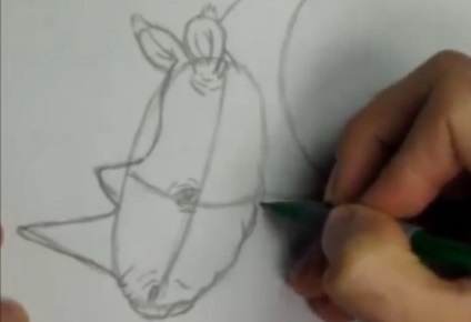Cum de a desena un rinocer (remiză) Cum să atragă un Rhino