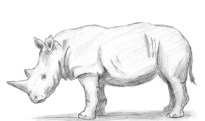 Cum de a desena un rinocer (remiză) Cum să atragă un Rhino