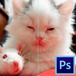 Cum sa faci ceață în Photoshop (o combinație a tasta CTRL) Cum sa faci ceață în Photoshop