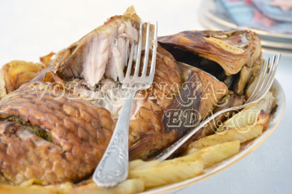 Karp în cuptor (cuptor) Carp în cuptor