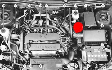 Kia Spectra (litri cutie de viteze) Kia spectre