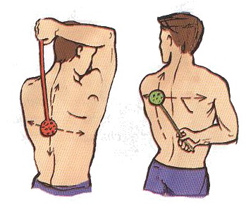 Complexul de exerciții terapeutice - exerciții cu fitball (mingii de gimnastică) (exerciții cu fitball) Complexul de exerciții terapeutice - exerciții cu fitball (mingii de gimnastică)