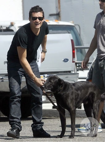 Cine la Hollywood cel mai mult iubește câini, intimitate, stele (Orlando Bloom) Cine la Hollywood cel mai mult iubește câini, intimitate, stele