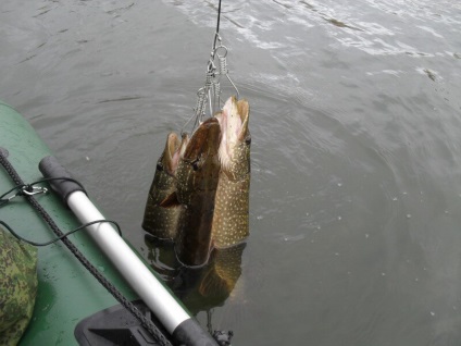 Kukan pentru spearfishing cu mâinile lor (unelte de pescuit) Kukan pentru spearfishing cu mâinile lor