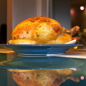 Pui - Bird (grăsime de vită inferioară) Pui - Bird