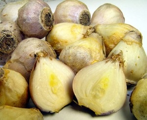 Bulbi, cepe, tuberculi (bulbi) Bulbi, cepe, tuberculi