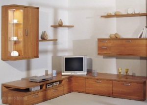 Mobilă mâinile, cu mustăți (mâini) Mobilier mâinile, cu mustăți