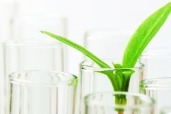 Uleiuri minerale în produsele cosmetice (minerale) Ulei mineral în produsele cosmetice