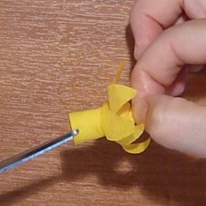Narcisele hârtie ondulat (hârtie) hârtie narcise ondulate