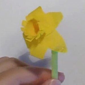 Narcisele hârtie ondulat (hârtie) hârtie narcise ondulate