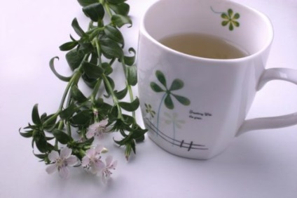 Infuzia de valeriana - utilizarea de rețete (valeriană) Infuzia de valeriana - utilizarea de rețete