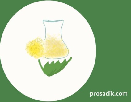 îngrășământ natural din păpădia, sfaturi gradinar (păpădia) îngrășământ natural din păpădii, sfaturi grădinar