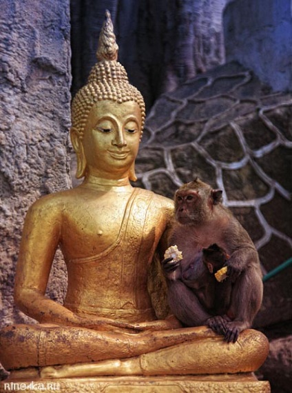 Săptămâna în Thailanda - zile ale săptămânii colorate, o culoare diferită în fiecare zi, valoare, culoare, fotografie, (săptămâni) Săptămâna în Thailanda - colorate zile ale săptămânii, o culoare diferită în fiecare zi, valoare, culoare, fotografie,