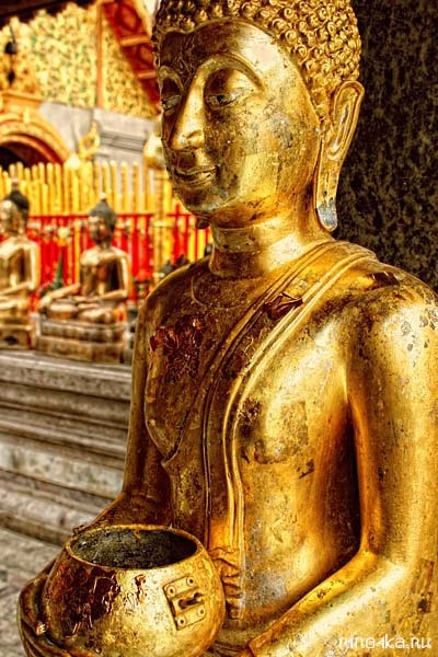 Săptămâna în Thailanda - zile ale săptămânii colorate, o culoare diferită în fiecare zi, valoare, culoare, fotografie, (zilele săptămânii în Thailanda) Săptămâna în Thailanda - colorate zile ale săptămânii, o culoare diferită în fiecare zi, valoare, culoare, fotografie,