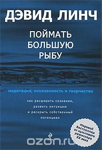 Recenzie de carte a David Lynch pentru a prinde pește mare - Roman Kalugin (Mai mult) Recenzie de carte a David Lynch pentru a prinde pește mare - Roman Kalugin