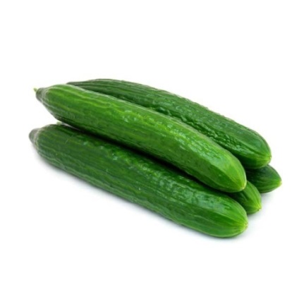 Castraveți dlinnoplodnye (castravete) castraveți dlinnoplodnye