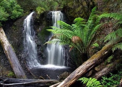 Tasmaniei istoria insulei, obiective turistice, video (Australia) Tasmaniei istorie insula, atracții, video