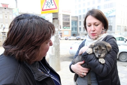 ucide de vânătoare (Politkovskaja) vâna de a ucide