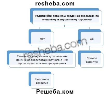 Punctul 20 (6 Class) articolul 20