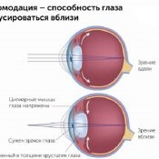 Защо потръпваше очни тикове очни причини и лечение