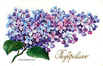 Felicitări (carduri) felicitări