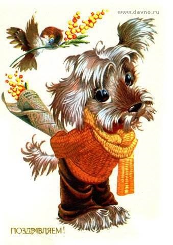 Felicitări (carduri) felicitări