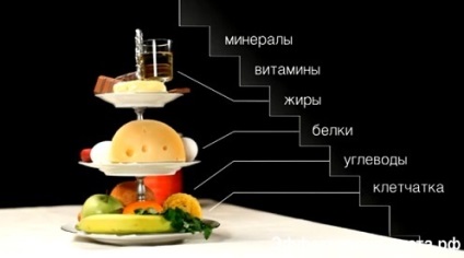 Alimentația corectă (proteine, grăsimi glucide) alimentația corectă