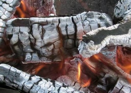 Utilizarea lemnului și cenușă de cărbune ca îngrășământ (cărbune) Utilizarea de lemn și cărbune cenușă ca îngrășământ