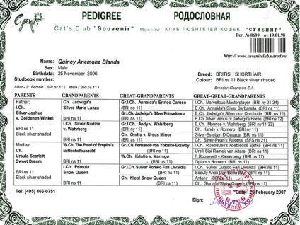 pedigree britanic (British) pedigree britanic