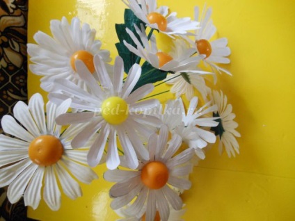 Daisies și albastrele de hârtie, cu propriile sale mâini