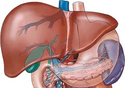 Cele mai eficiente medicamente pentru tratarea hepatică (ficat) Cele mai eficiente medicamente pentru tratamentul ficatului