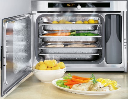 Steamer vs (steamer) Steamer vs