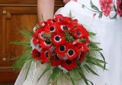 Buchet de anemone (buchet) Buchet de anemone