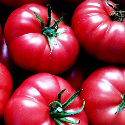 Tomate - Roza Vetrov, descriere, caracteristici, randament, aspect (randament) Tomate - Roza Vetrov, descriere, caracterizare, randament, aspect