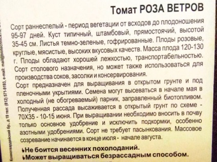 Tomate - Roza Vetrov, descriere, caracteristici, randament, aspectul (Roza Vetrov și roșii) Tomate - Roza Vetrov, descriere, caracterizare, randament, aspect