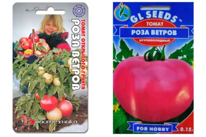 Tomate - Roza Vetrov, descriere, caracteristici, randament, aspect (vânturi) Tomate - Roza Vetrov, descriere, caracterizare, randament, aspect