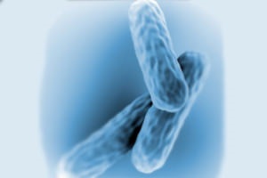 Tuberculoza oaselor și articulațiilor, primele semne și simptome, tratament, astfel cum sunt raportate (simptome de tuberculoză osoasă) Tuberculoza oaselor și articulațiilor, primele semne și simptome, tratamentul este transferat