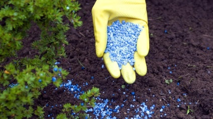 Comentarii fertilizator Av, instrucțiuni de utilizare (îngrășămînt) Fertilizare Av comentarii, instrucțiuni de utilizare
