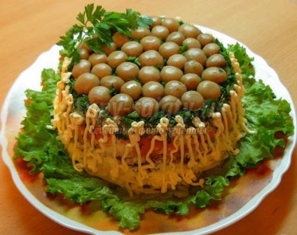 Decorarea salate pas cu pas cursuri de gătit cu fotografii (foto salata) salate decorare pas cu pas cursuri de gătit cu fotografii