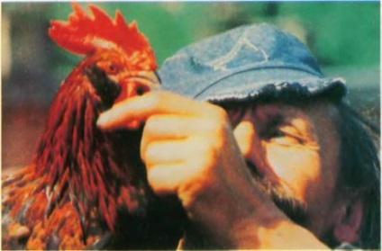 Tipuri și genuri de filme (filme) Tipuri și genuri de Cinema