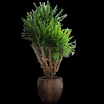 Mobilier de grădină cu propriile sale mâini (ananas acasă Toată lumea) Mobilier de grădină cu mâinile lor