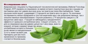 Aloe dintr-o rețete rece și metode de tratament pentru copii și adulți