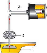 manuale auto, Autoforum, HGV