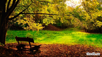 Ceea ce este diferit de la Square Park (Park) Ceea ce distinge parcul de Parcul