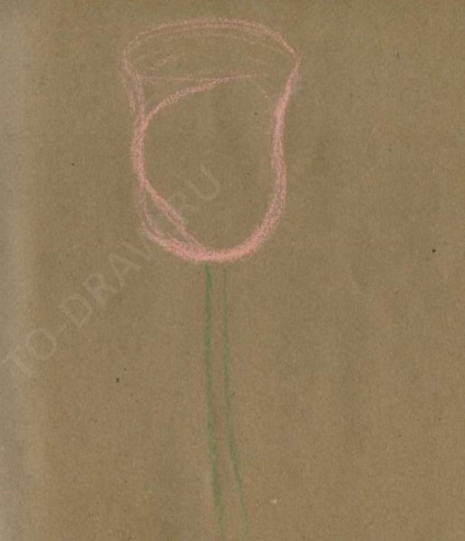 Cum de a desena un trandafir creioane pastel etape plante