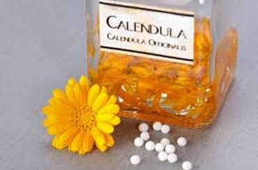 Calendula par