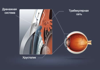 presiune oculară Norma IOP glaucom